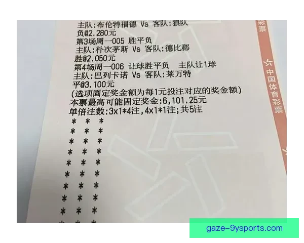 布伦特福德新赛季备战启程 强化阵容目标冲击英超前六